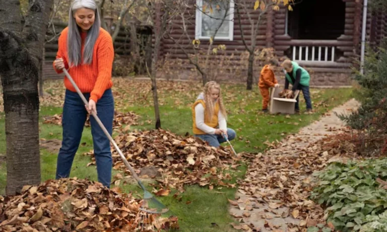 Cheap Lawn Care for Seniors (3)